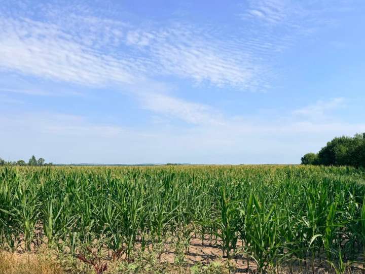 Acker 44,8ha in 3470 Neustift im Felde mit Brunnen zu verkaufen