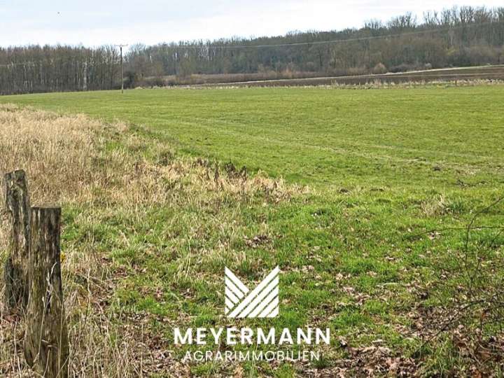 ca. 2 ha Grünland in Niederbauer zu verkaufen