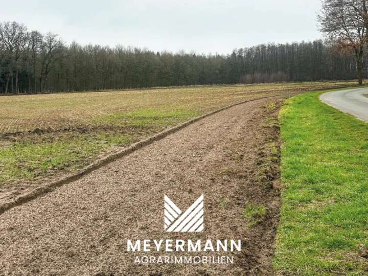 ca. 4,2 ha Ackerland in Wenstrup zu verkaufen