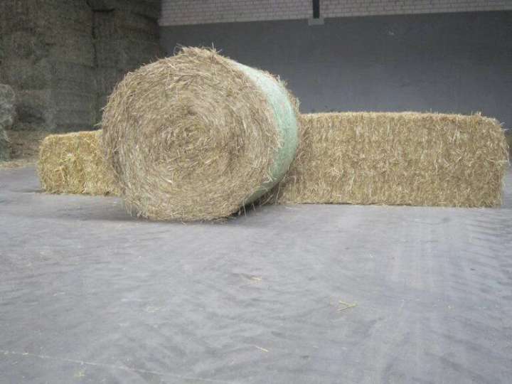 Hochqualitatives Weizen- oder Gerstenstroh für Futter/Einstreu in Quaderballen
