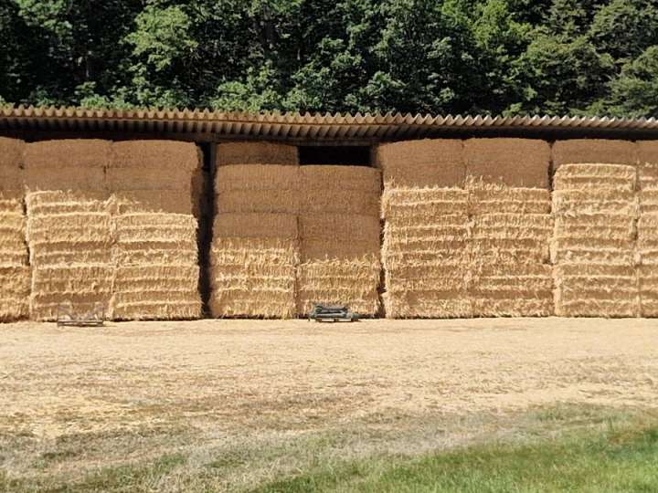 Stroh Großpacken Quaderballen
