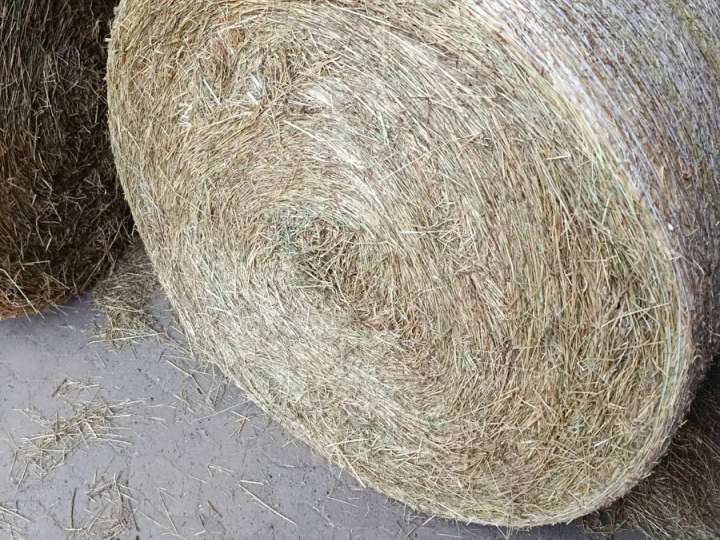 Heu Rundballen