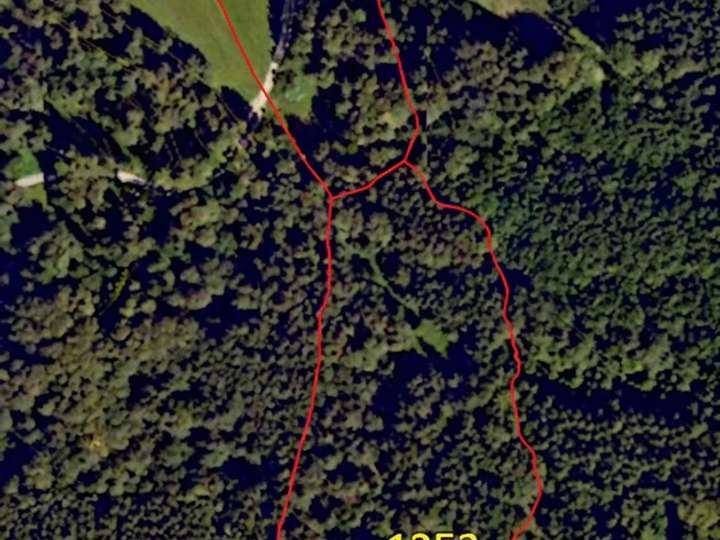 Verkauf: 8,2 ha arrondierte Wald- und Wiesenflächen in Waakirchen