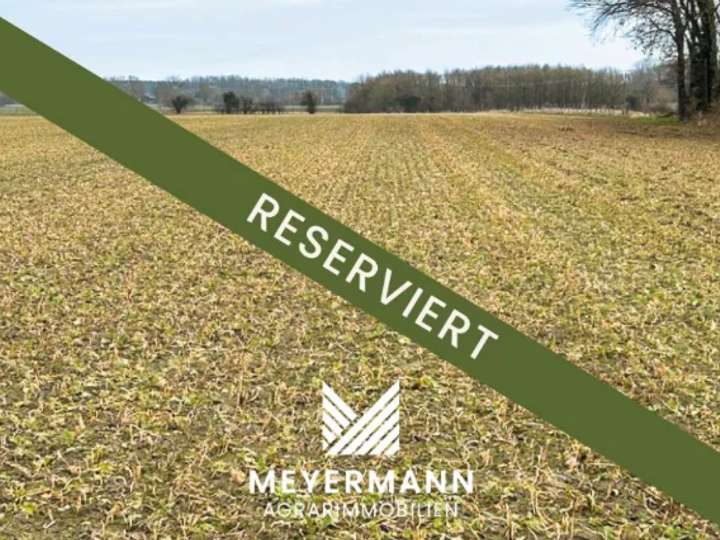 ca. 6 ha Ackerland in Lippetal zu verkaufen-RESERVIERT