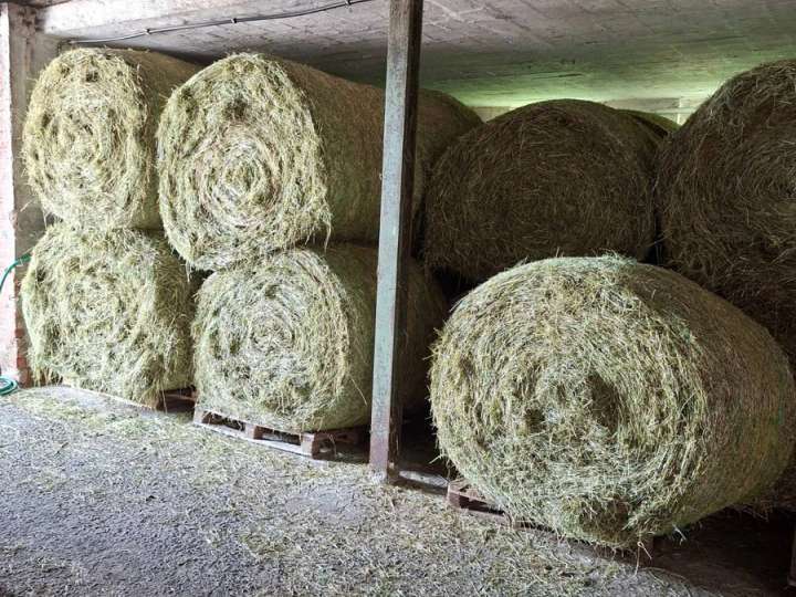 ca 150 Rundballen Heu vom 1. und 2. Schnitt 2026
