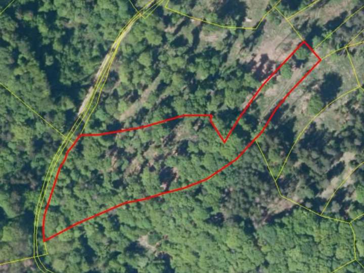 Waldgrundstück im idyllischen Werntal – 9.160 m² Mischwald