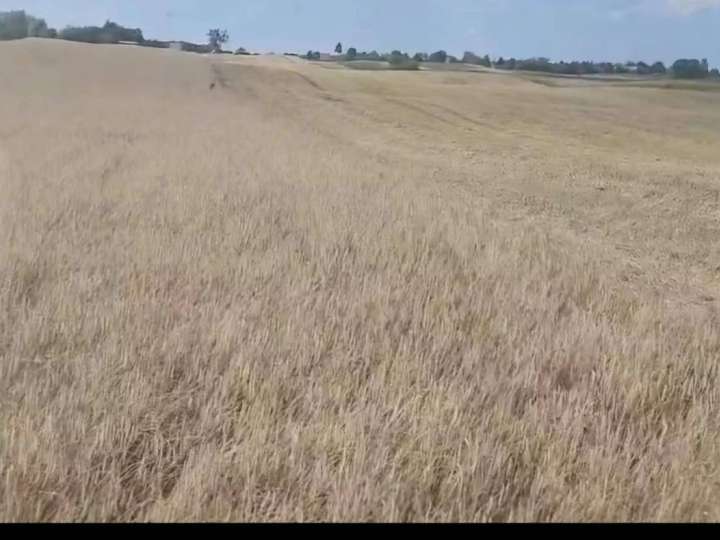 10 ha Acker Brandenburg