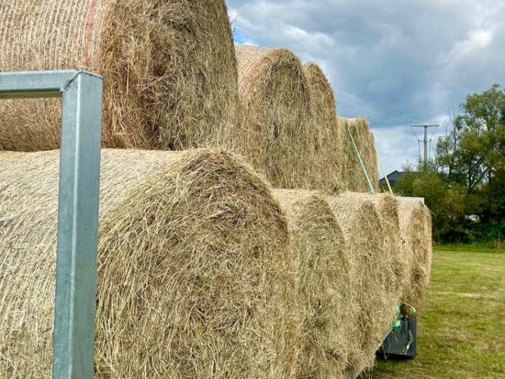 50 Ballen Heu - trocken, regenfrei, extensiv