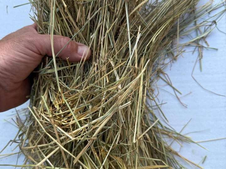 Grassamenheu - Heulage - Heu - Stroh: Weizen - Gerste