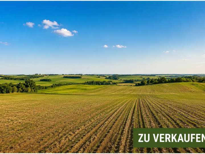 **WELDEN – LANDWIRTSCHAFTLICHE FLÄCHEN ZU VERKAUFEN**
