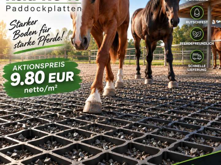 Rasengitter kaufen & Paddockplatten kaufen - stabile Bodengitter für Pferde