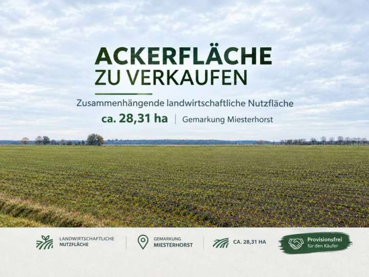 28,3 ha landwirtschaftliche Nutzfläche / Acker 39646 Miesterhorst