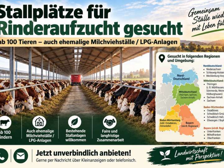 Betrieb zur Rinderaufzucht gesucht