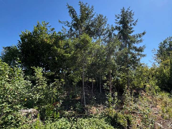 Waldgrundstück/Forstfläche ca. 6,86 ha in 94354 Haselbach zu verkaufen