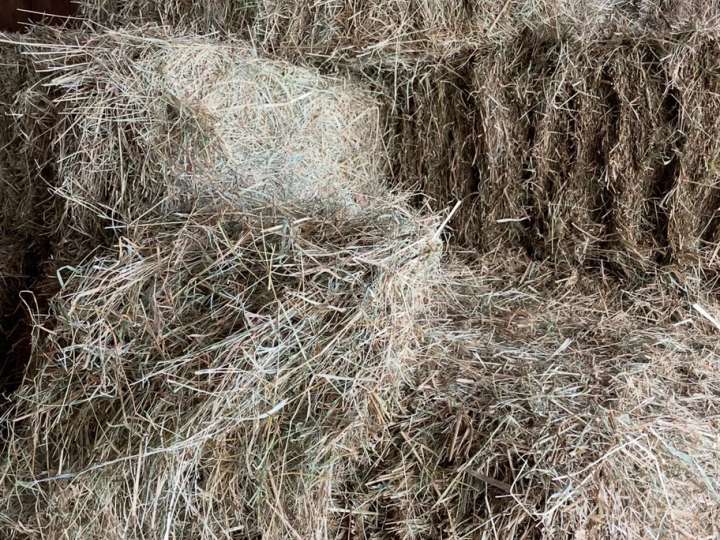 Heu kleine Ballen ab 2027 langfristig
