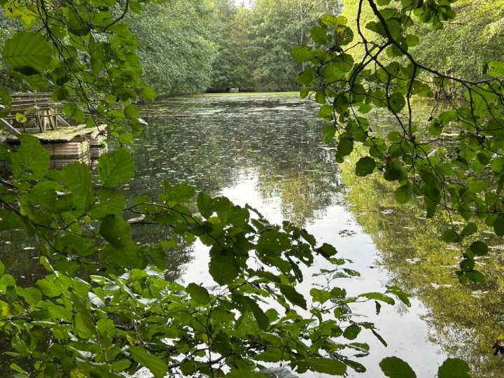 Teichanlage mit 4 Teichen, Wiese und Baumbestand (ca. 3 ha / 29.994 qm) - Sontra