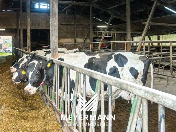 Modernisierter Milchviehbetrieb in Sachsen-Anhalt zu verkaufen