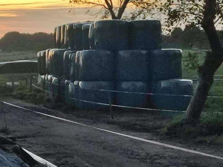 100 Silage Ballen zu verkaufen