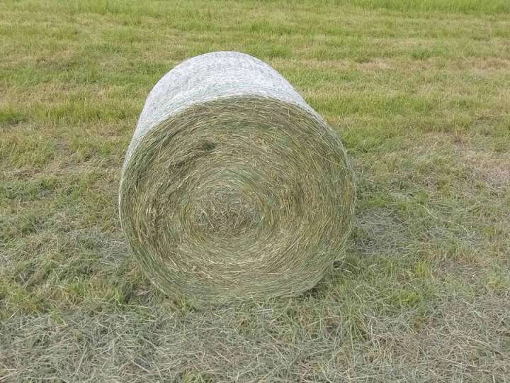 Heurundballen Heu Rundballen Heuballen Pferdeheu Schafe Rinder