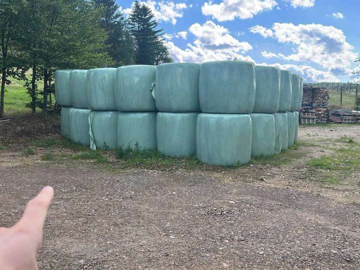 Verkaufe. 120 Silo-Rundballen vom zweiten Schnitt 2026