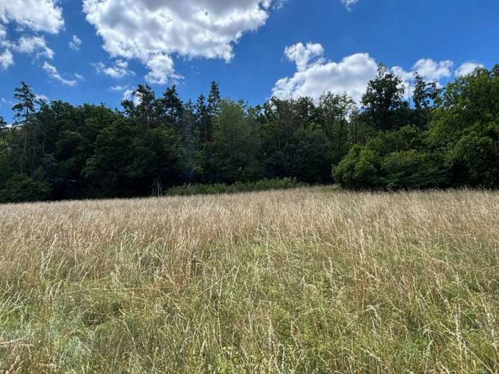 8.593 m² Wiese & Ackerland bei Alfalter/Vorra – pachtfrei, von privat - Verkauf gegen Gebot