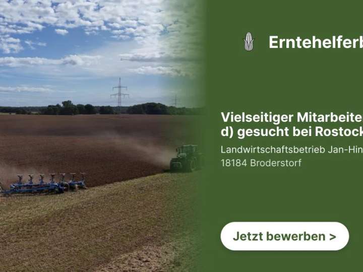 Vielseitiger Mitarbeiter (m/w/d) gesucht bei Rostock