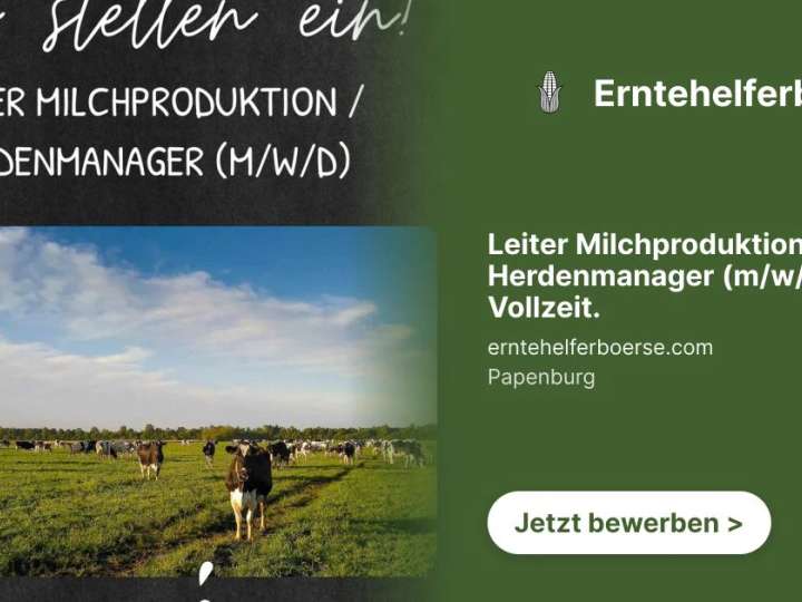 Leiter Milchproduktion / Herdenmanager (m/w/d) in Vollzeit.