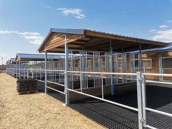 Futterraufe & Heuraufe kaufen - Futtertröge ideal für Pferde - Bild 9