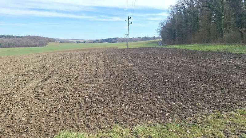 Ackerland bei Buch am Ahorn zu verkaufen