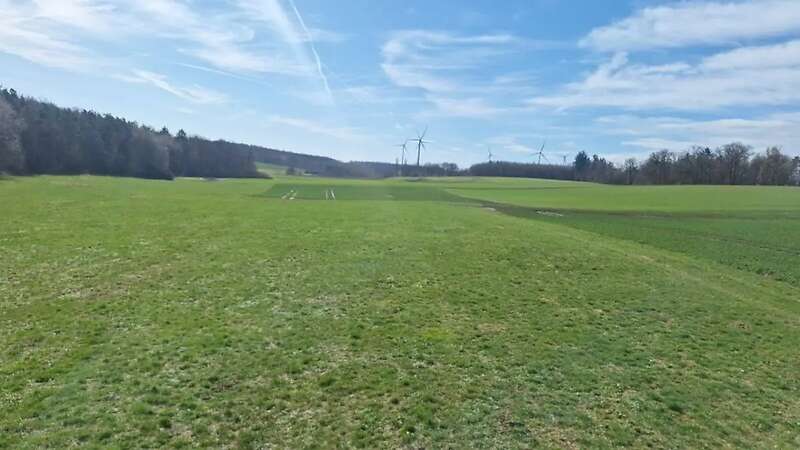 Wiese bei Buch am Ahorn zu verkaufen - Bild 1