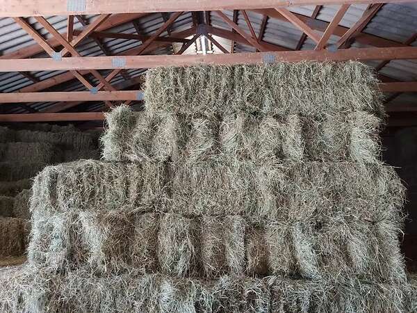 Heu in HD Ballen - Bild 1