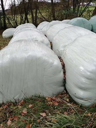 Verkaufe Silorundballen - Bild 1