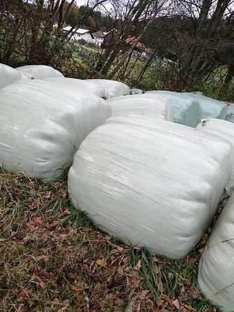 Verkaufe Silorundballen - Bild 2
