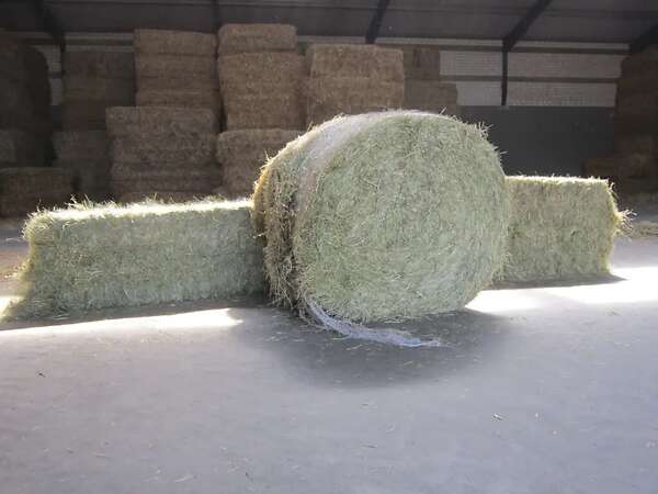 Verkaufe Heu (Zweiter Schnitt / 2. Schnitt / Grummet) - Bild 1