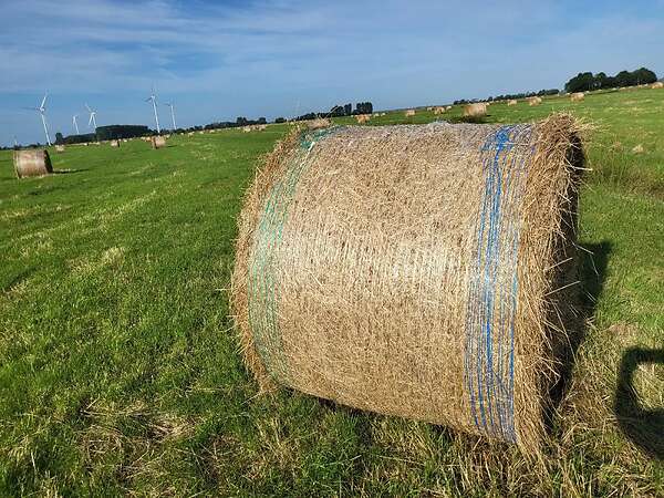 Heuballen - Bild 1