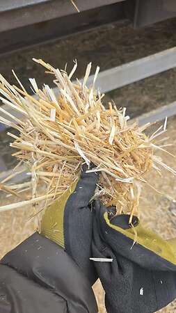 Stroh geschnittenes, 5-10cm länge, inkl. Transport - Bild 2
