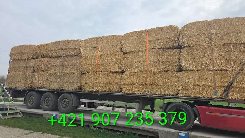 Stroh geschnittenes, 5-10cm länge, inkl. Transport - Bild 1