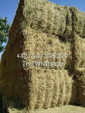 Heu geschnittenes 10-15cm länge,Ernte 2025, inkl. Transport