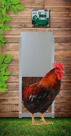 Elektronische Hühnerklappe VSE - Bild 2