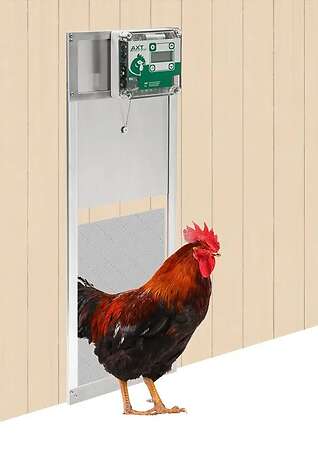 Elektronische Hühnerklappe VSE-Kompakt - Bild 1
