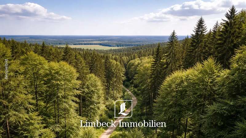 Waldfläche gesucht - Umkreis Papenburg PLZ 26871 - - Bild 1