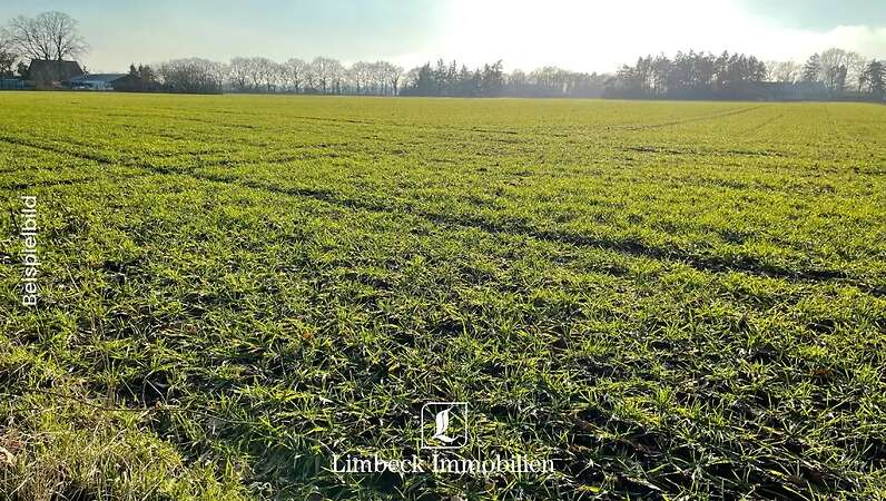 Ackerfläche gesucht - ca. 3 bis 10 ha - Raum Beesten - Bild 1