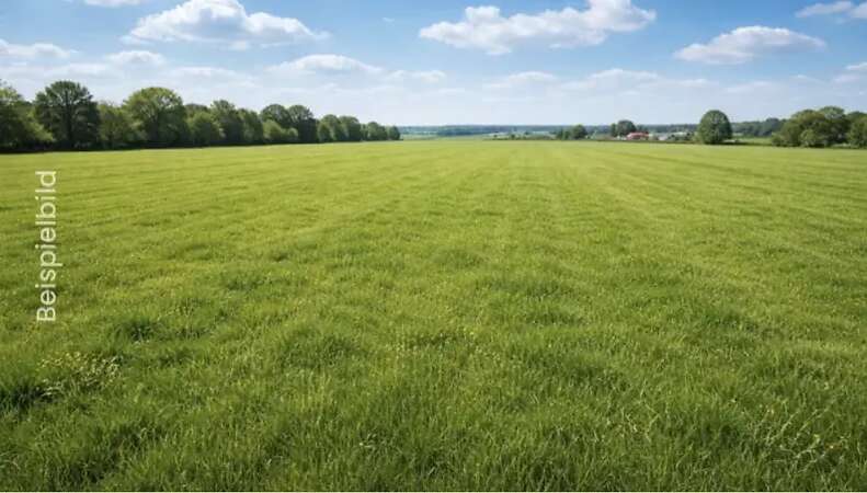 ca. 2 ha Grünlandflächen in Trassenheide zu verkaufen - Objektnr: 29311