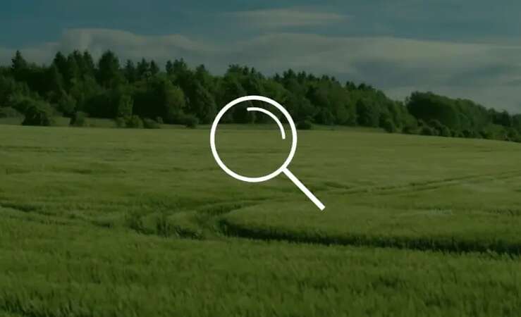 Gesuch: Landwirtschaftliche Flächen - Landkreise NWM, Hzgtm Lauenburg und LUP