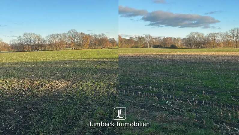 ca. 4,2 ha Ackerfläche in Sulingen zu verkaufen - Objektnr. 29312