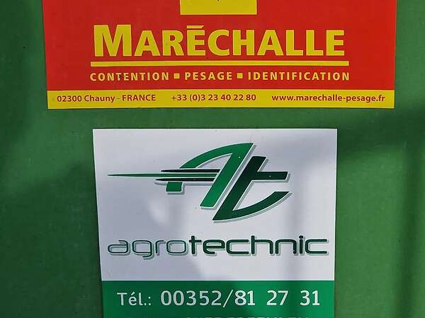 Fangstand Rinder - Bild 3