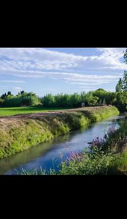 Pferdeheu Top Qualität | Timothy, Marine & Crau Heu | Lieferung - Bild 5