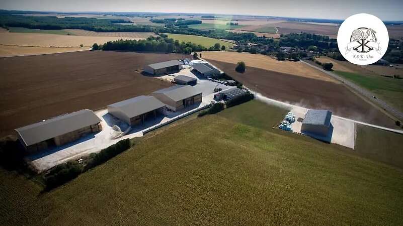 Pferdeheu Top Qualität | Timothy, Marine & Crau Heu | Lieferung - Bild 8