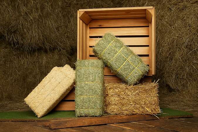 Pferdeheu Top Qualität | Timothy, Marine & Crau Heu | Lieferung - Bild 10