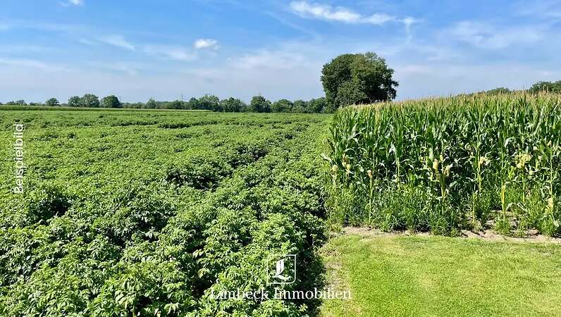 ca. 4,5 ha Acker in Rhede (Ems) zu verpachten - Bild 1